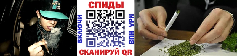 MEGA tor  Голицыно  Бутират бутандиол 