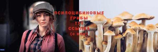 прущий лед Баксан
