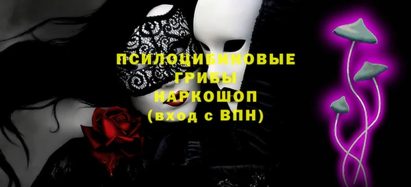 apvp Балахна